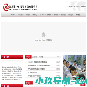深圳市中广投资担保有限公司