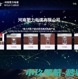 河南塑力电缆有限公司