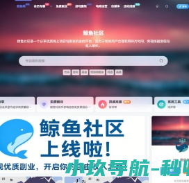 鲸鱼网