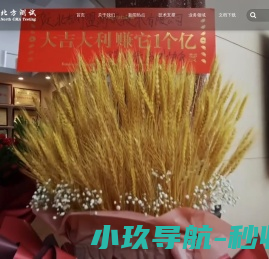 北方测盟测试技术（辽宁）有限公司