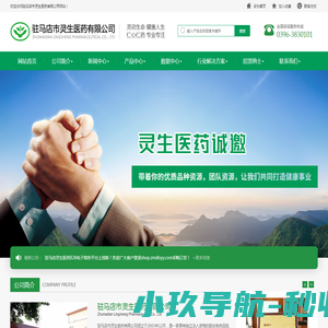 驻马店市灵生医药有限公司