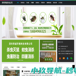深圳杀虫公司|深圳消杀公司|深圳杀白蚁公司|深圳灭鼠公司 找享诚环境