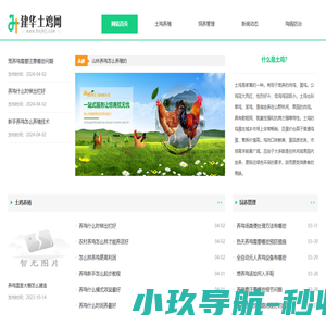 建华土鸡网—一流的土鸡养殖和土鸡销售网