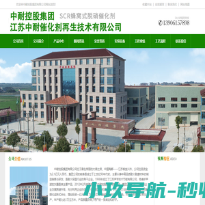 蜂窝式催化剂,中耐控股集团有限公司