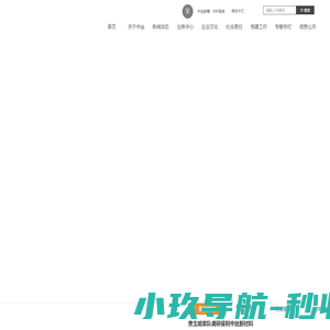 中国中丝集团有限公司