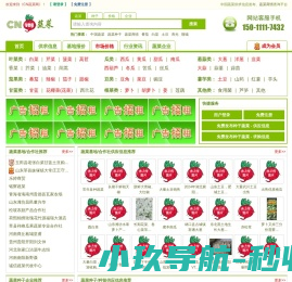 奇点数聚