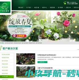 苏州植物租赁