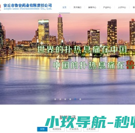 -安丘鲁安药业有限责任公司