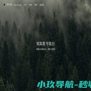 蓑衣孤客 - 清风明月无人管,并作南楼一味凉
