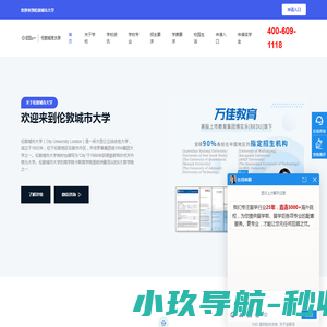 伦敦城市大学