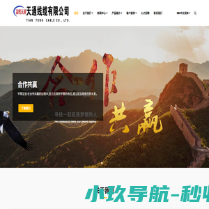 天通线缆有限公司