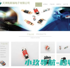 天津凯斯福电子有限公司