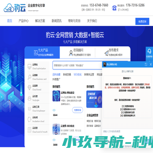 豹云网络