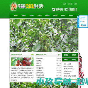 樱桃树苗_山东樱桃树苗木基地
