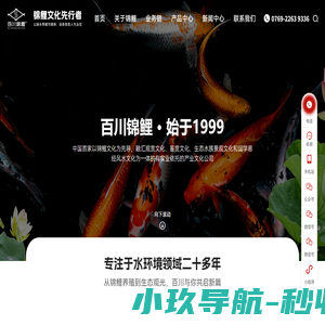 红白锦鲤,大正三色,昭和三色,花纹皮光鲤,金银鳞,锦鲤养殖-百川锦鲤