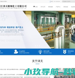 浙江泽天精细化工有限公司
