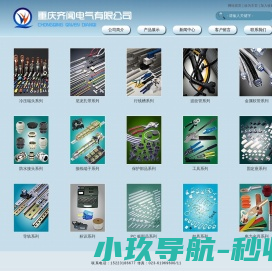 重庆齐闻电气