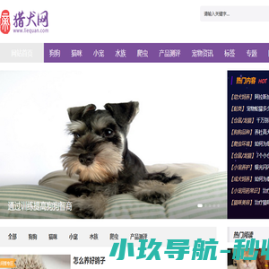 猎犬网(猎犬宠物网)