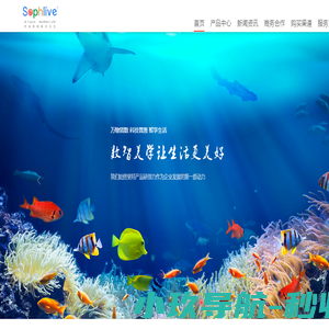 数字珊瑚（杭州）科技有限公司