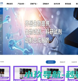 网站截图