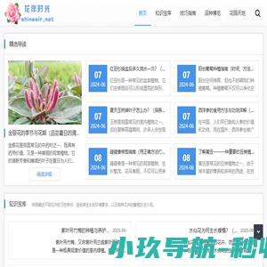 花伴时光