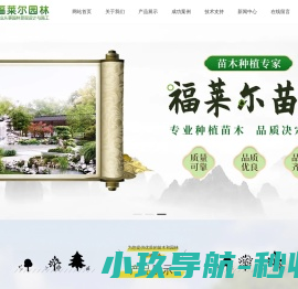 网站截图