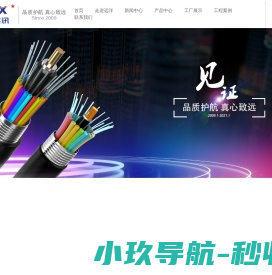 广东远洋光电