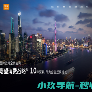 塔望战略营销全案  开创消费战略