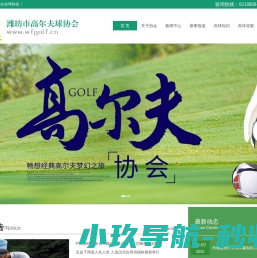 高尔夫球,潍坊高尔夫球,潍坊高尔夫球协会
