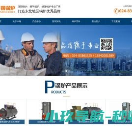沈阳电锅炉厂家