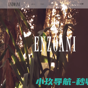 ENZOANI官网