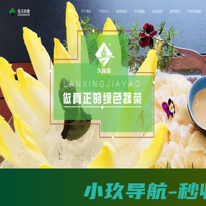 芽球玉兰-玉兰菜-菊苣-河北联兴佳垚农业科技有限公司