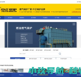 燃气锅炉