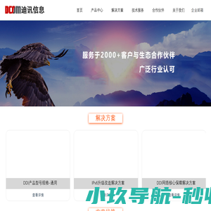 DDI网络核心服务( DNS/DHCP/IP地址管理 )设备提供商 - 迪讯信息技术有限公司