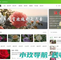 月季花谱