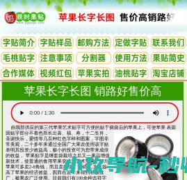 辰时果贴简介