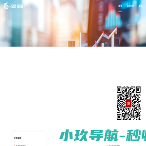 拓米投资