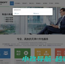 天津IT外包服务专家