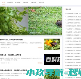 知用百科