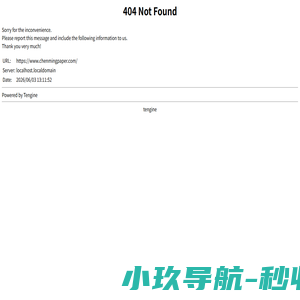 晨鸣集团，晨鸣纸业-山东晨鸣纸业集团股份有限公司