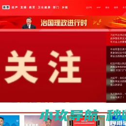 网站截图
