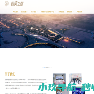 成都市医疗美容产业协会