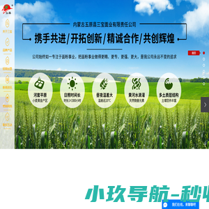 河套面粉厂_内蒙古面粉厂_巴彦淖尔面粉-内蒙古五原县三宝面业有限责任公司