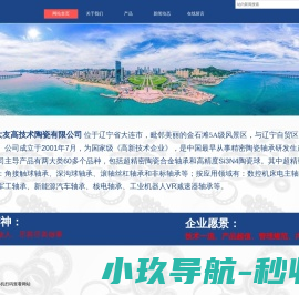 大连大友高技术陶瓷有限公司