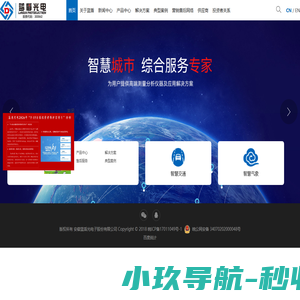 安徽蓝盾光电子股份有限公司