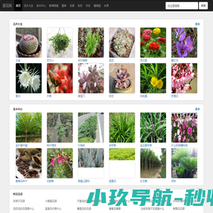 花卉