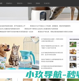 宠物用品