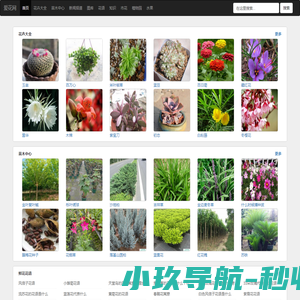临沂华景网络科技有限公司