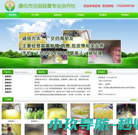 蒜黄批发