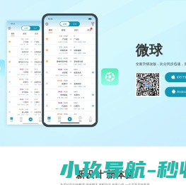微球